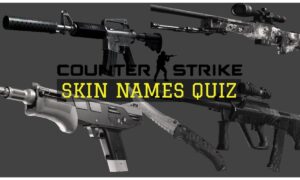 cs go weapon skin names quiz