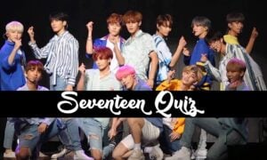 seventeen quiz