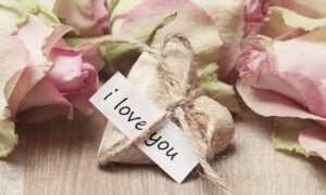 should i say i love you quiz