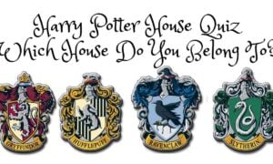 harry potter house quiz