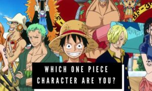 which one piece character are you