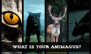 what is my animagus quiz