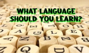 what language should I learn quiz
