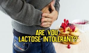 am I lactose intolerant quiz