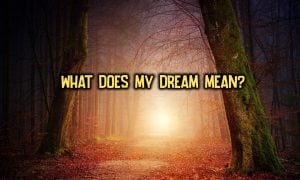 what does my dream mean quiz