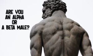 alpha male test