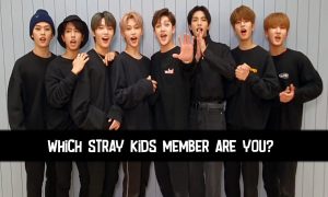 which Stray Kids member are you