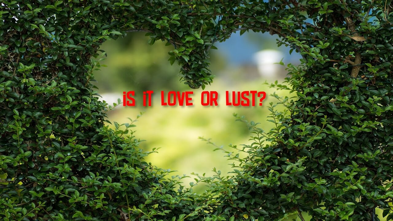 QUIZ Is It Love or Lust? Get 100 Reliable Answer Quizondo