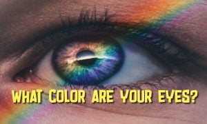what color are my eyes quiz