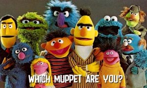 which Muppet are you