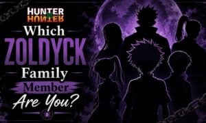 Which Zoldyck Family Member Are You?