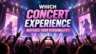 Which Concert Experience Matches Your Personality?