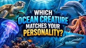 Which Ocean Creature Matches Your Personality?