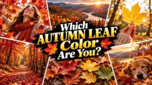 Which Autumn Leaf Color Are You?