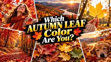 Which Autumn Leaf Color Are You? - Quizondo