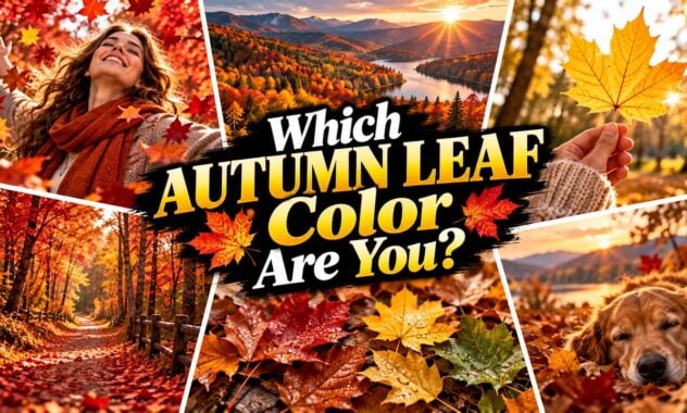 Which Autumn Leaf Color Are You?