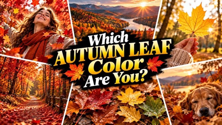 Which Autumn Leaf Color Are You?