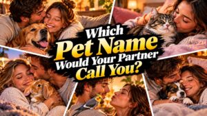Which Pet Name Would Your Partner Call You?